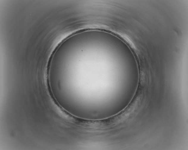 X0000112410895200908141358