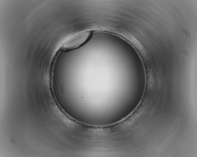 X0000112410896200908141358