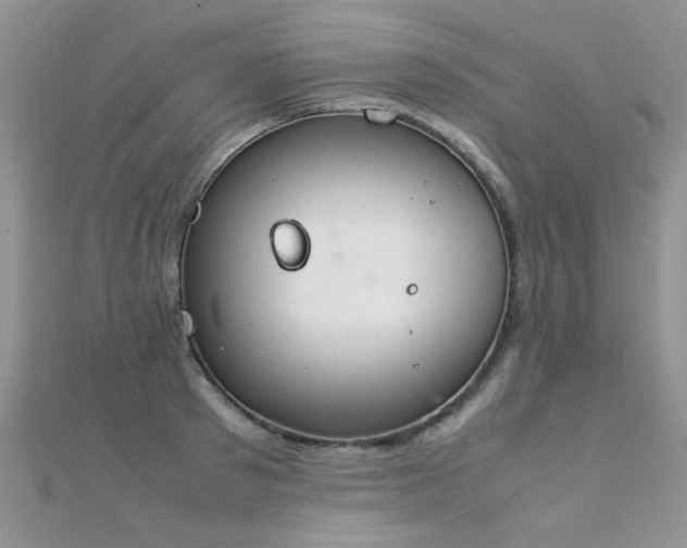 X0000112410897200908141358