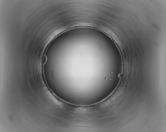 X0000112410898200908141358