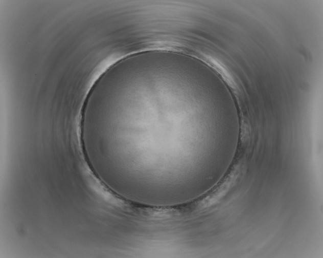 X0000112410899200908141358