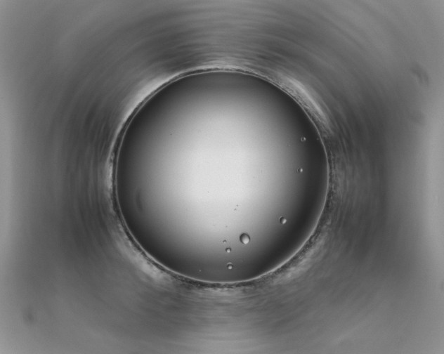 X0000112410900200908141358