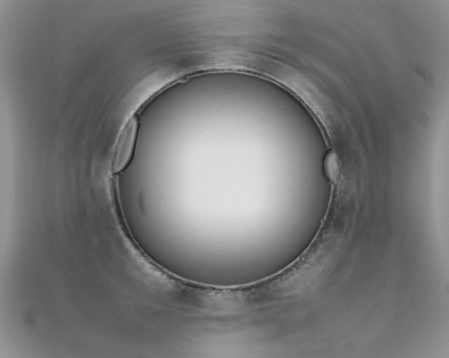 X0000112410901200908141358