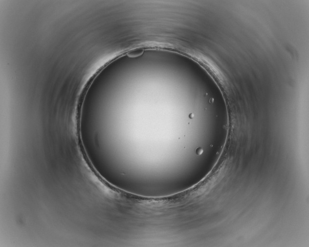 X0000112410902200908141358
