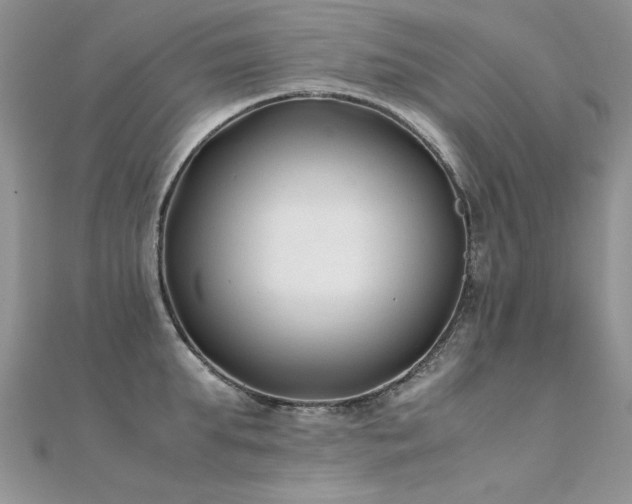 X0000112410903200908141358