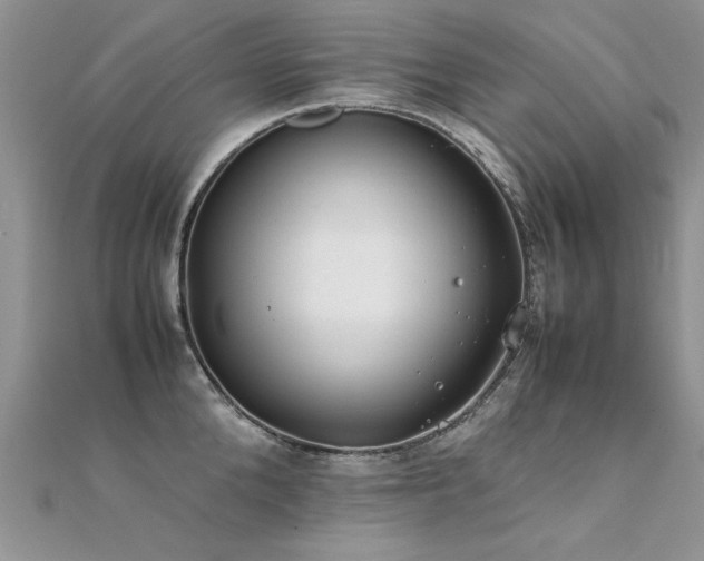 X0000112410904200908141358