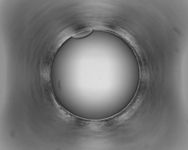 X0000112410905200908141358