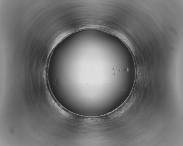 X0000112410906200908141357