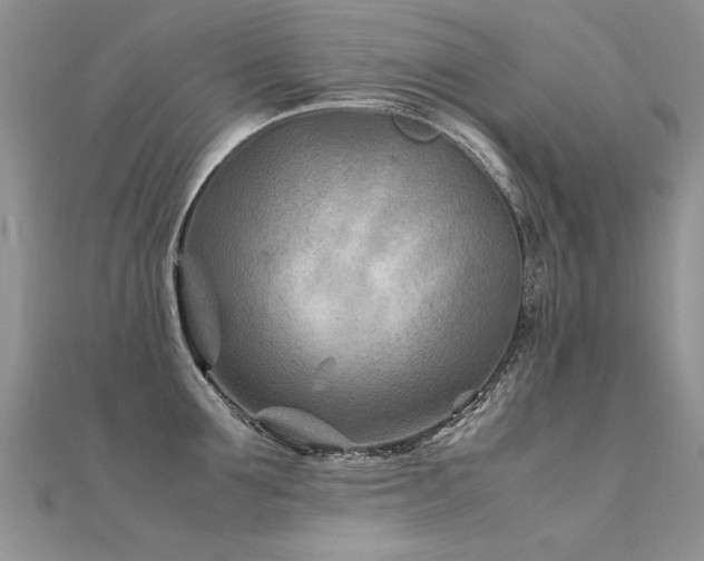 X0000112410907200908141357