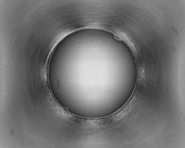X0000112410908200908141357