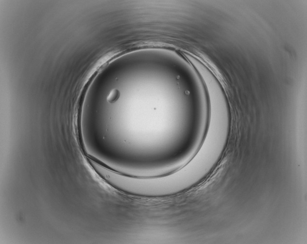 X0000112410909200908141357