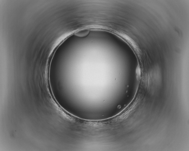 X0000112410910200908141357