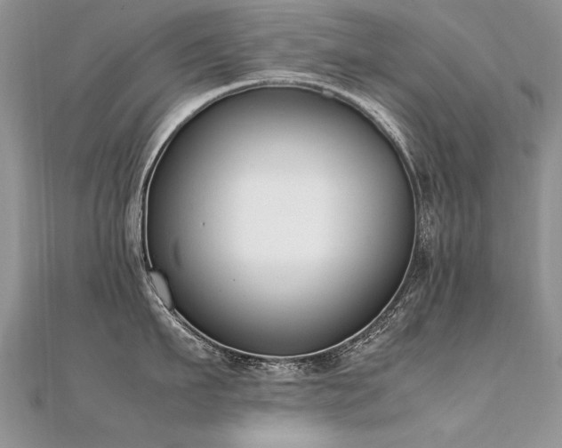 X0000112410911200908141357