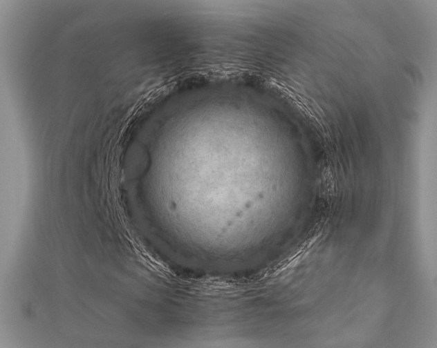 X0000112410913200908141357