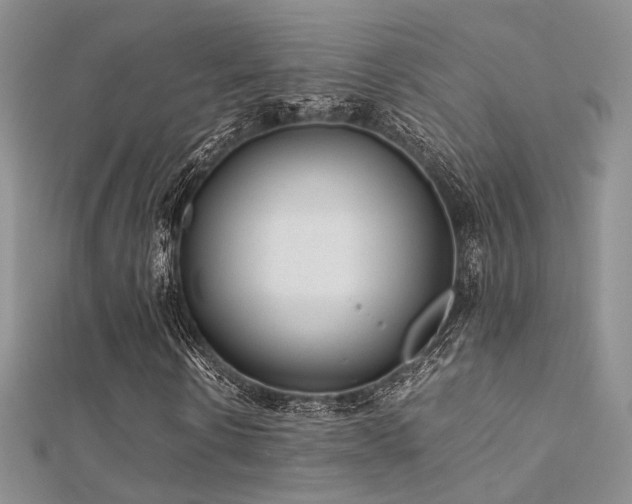 X0000112410914200908141357