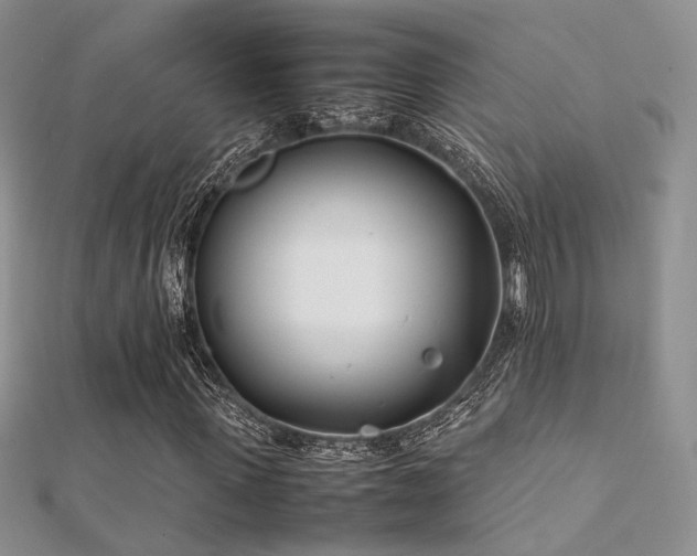 X0000112410915200908141357