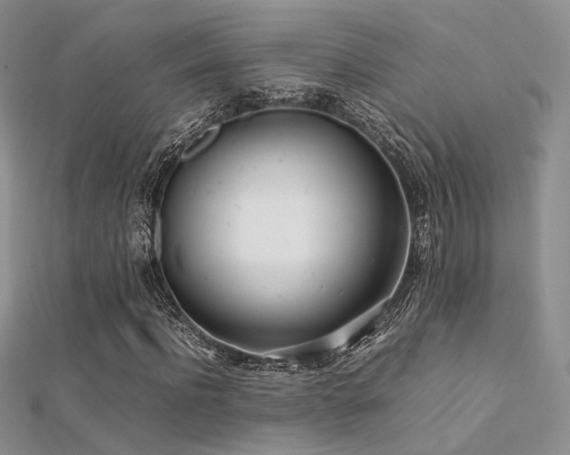 X0000112410916200908141357