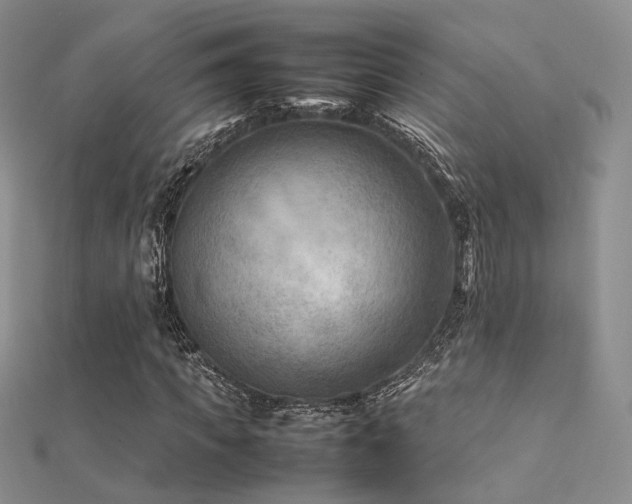 X0000112410917200908141357