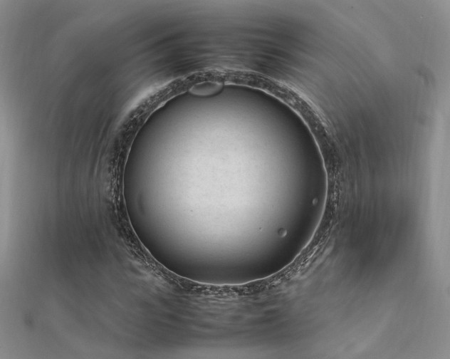 X0000112410919200908141357