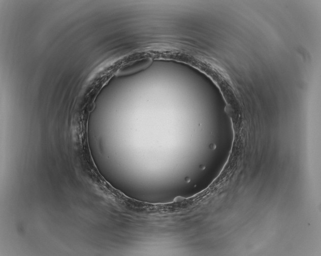 X0000112410920200908141357
