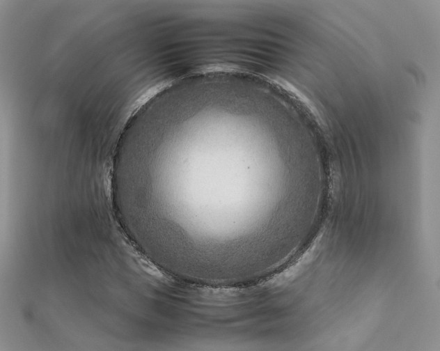 X0000112410921200908141357