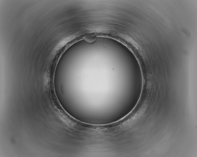 X0000112410922200908141357