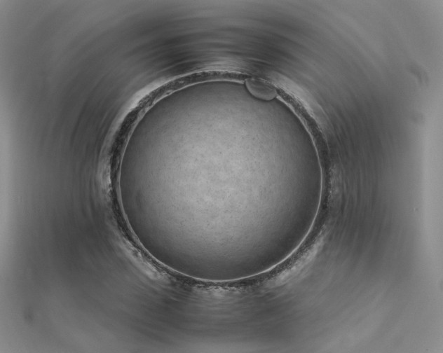 X0000112410923200908141357