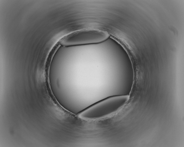 X0000112410924200908141357