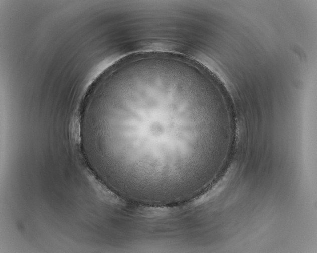 X0000112410925200908141357