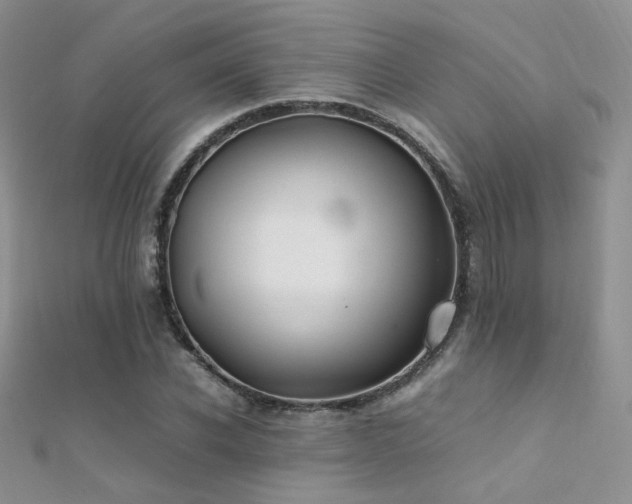 X0000112410926200908141357