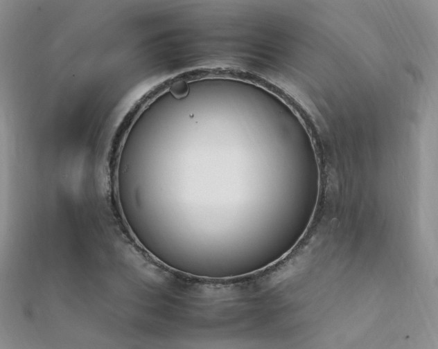 X0000112410927200908141357