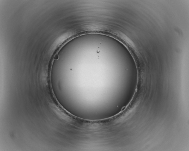 X0000112410930200908141357