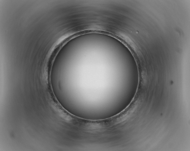 X0000112410931200908141357