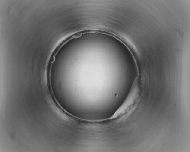 X0000112410932200908141357