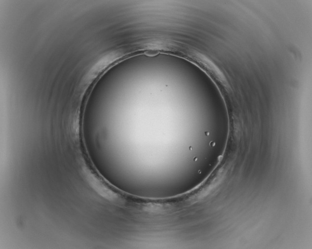 X0000112410938200908141357
