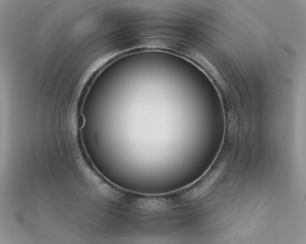 X0000112410939200908141357