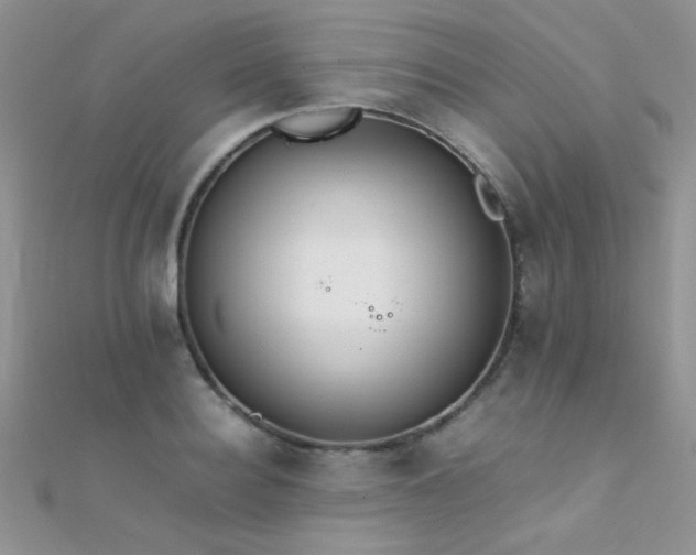 X0000112410940200908141357