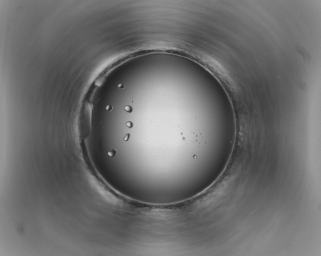 X0000112410942200908141357