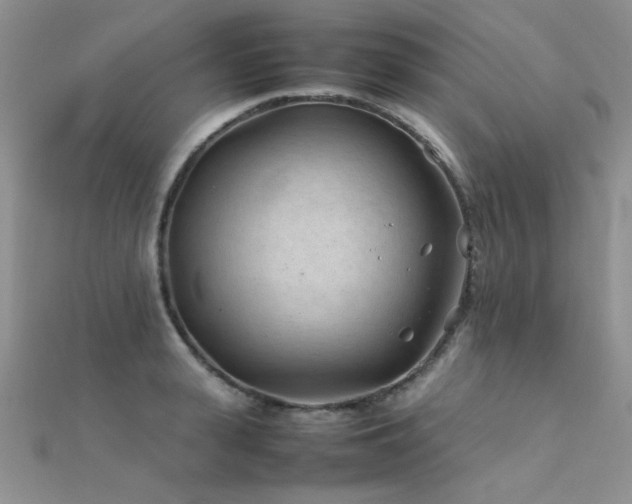 X0000112410943200908141357