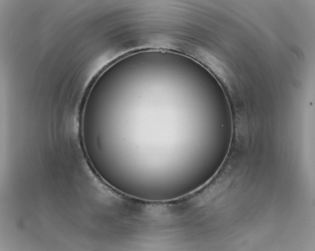 X0000112410944200908141357