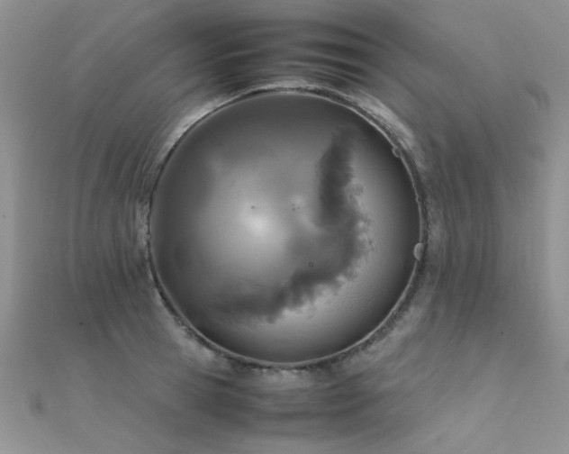 X0000112410945200908141357