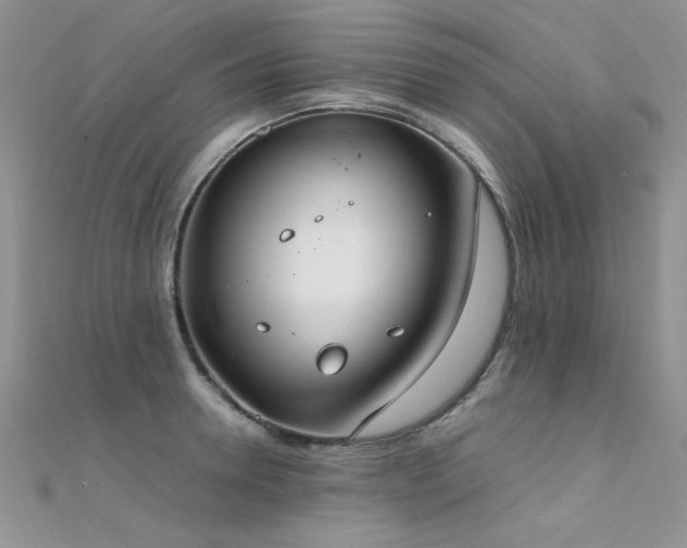 X0000112410946200908141357