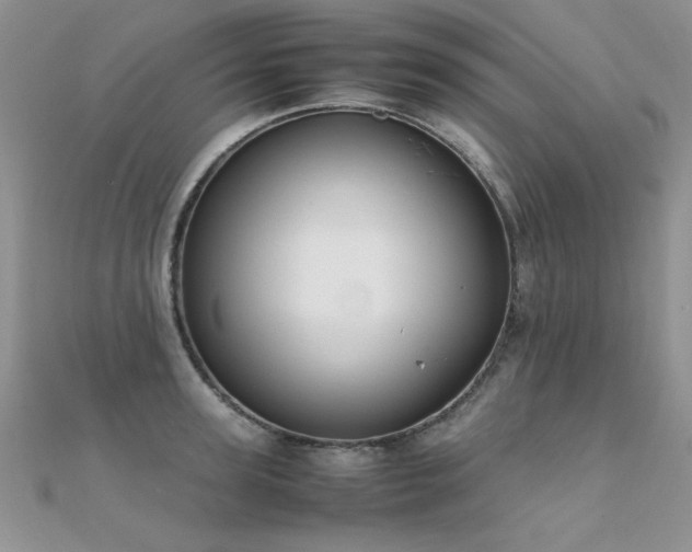 X0000112410947200908141357
