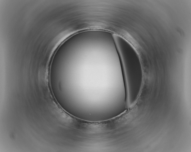 X0000112410948200908141357