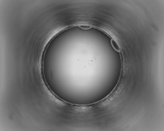 X0000112410949200908141357