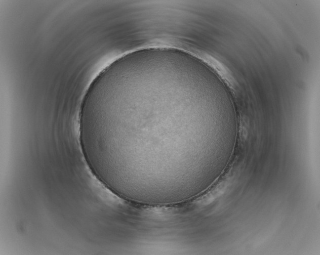 X0000112410950200908141357
