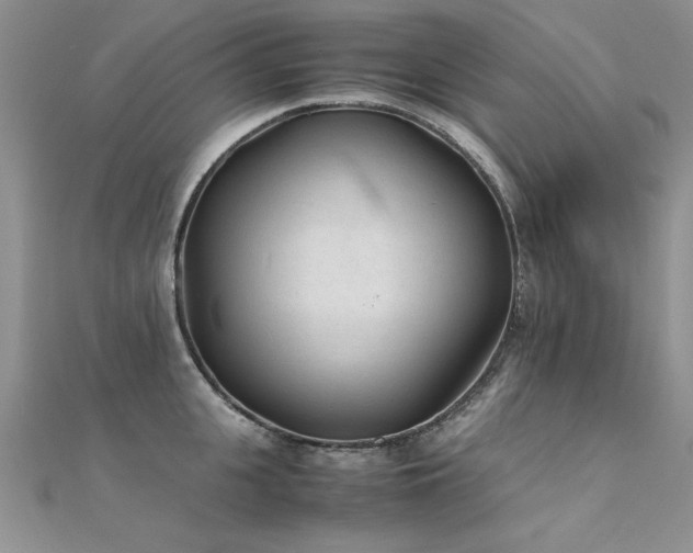 X0000112410951200908141357