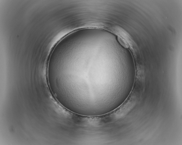 X0000112410952200908141357