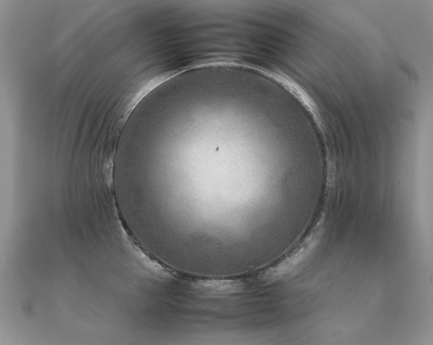 X0000112410953200908141357