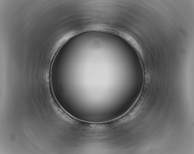 X0000112410954200908141357